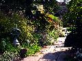 gal/holiday/Yeovil Area 2007 - Tintihull Gardens/_thb_Tintinhull_Gardens_P1010022.jpg